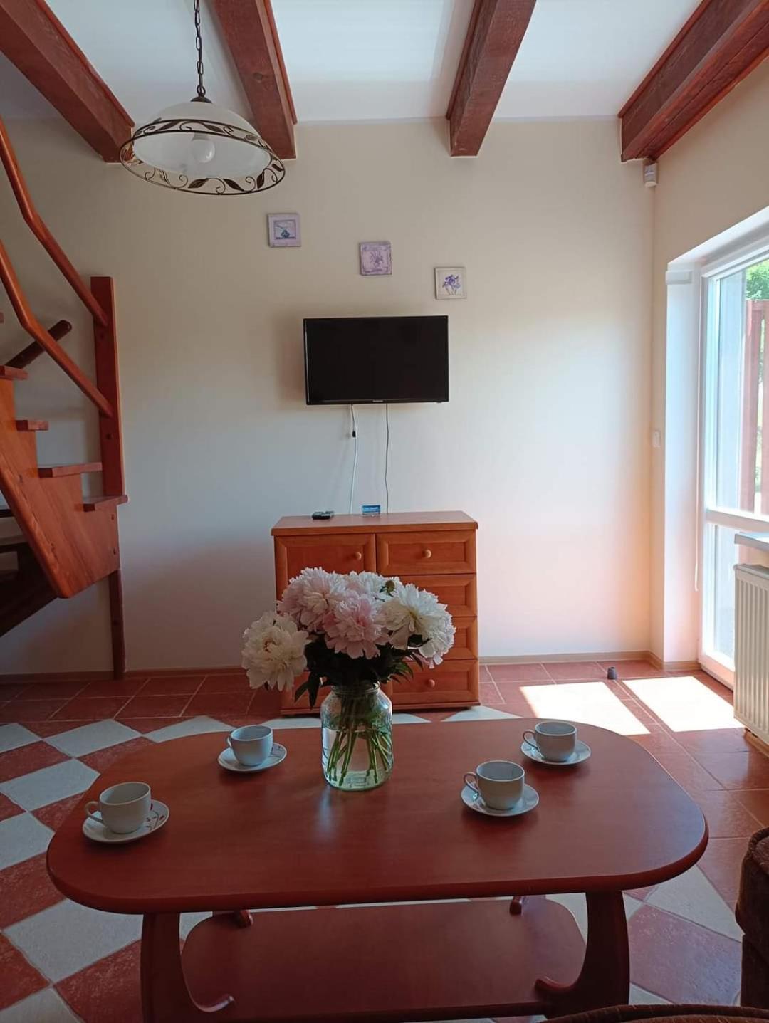Apartamenty "Anusia" Ledzin Buitenkant foto