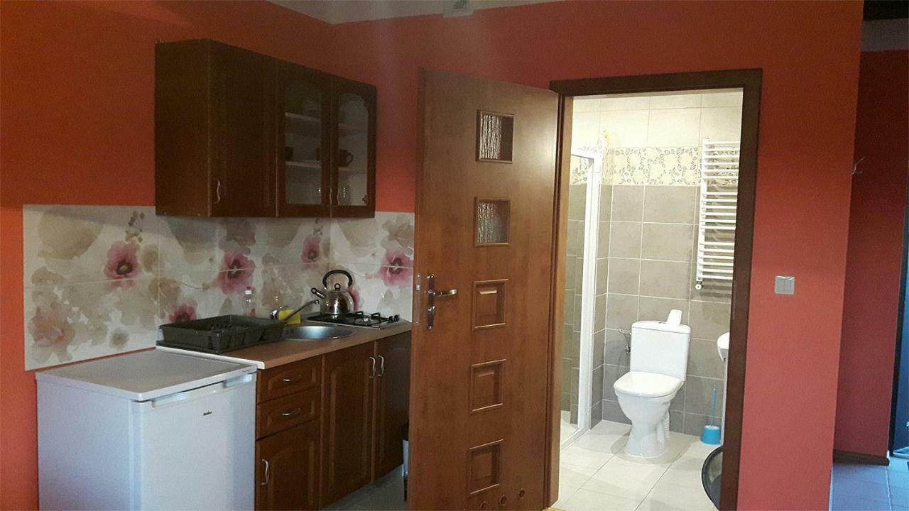 Apartamenty "Anusia" Ledzin Buitenkant foto