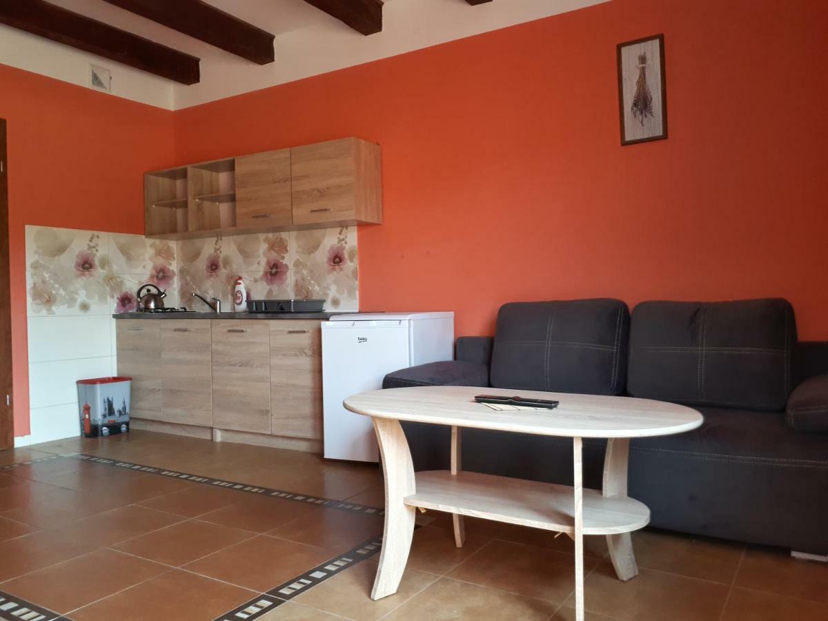 Apartamenty "Anusia" Ledzin Buitenkant foto